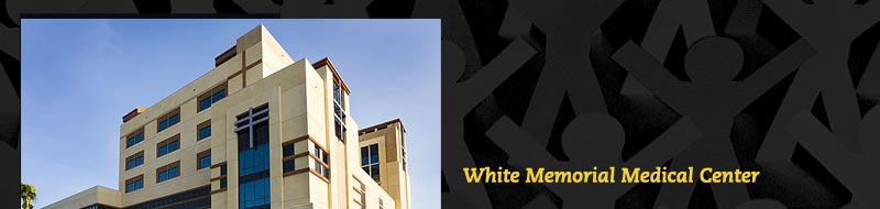 The STEP-BY-STEP GUIDE for Cultural Competence Training